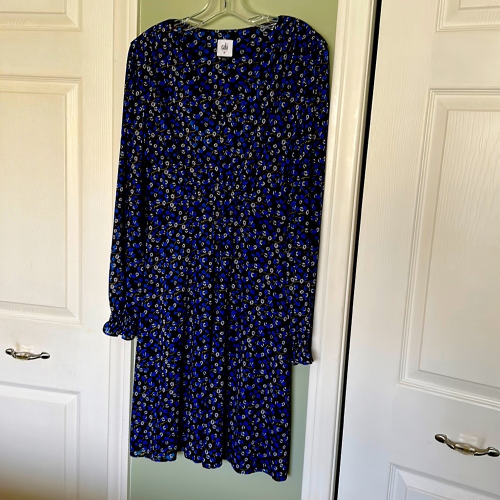 Cabi dress-long sleeved empire waist dress!